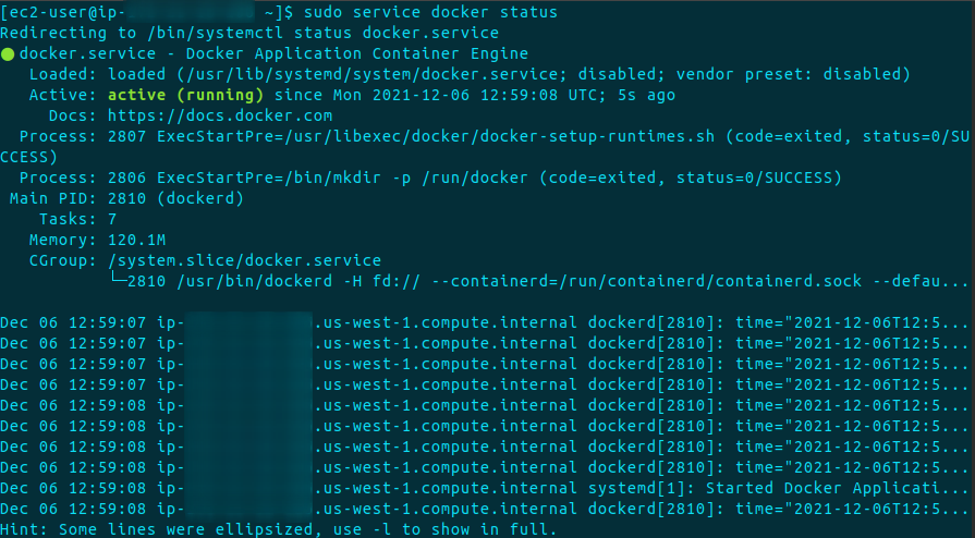 docker status