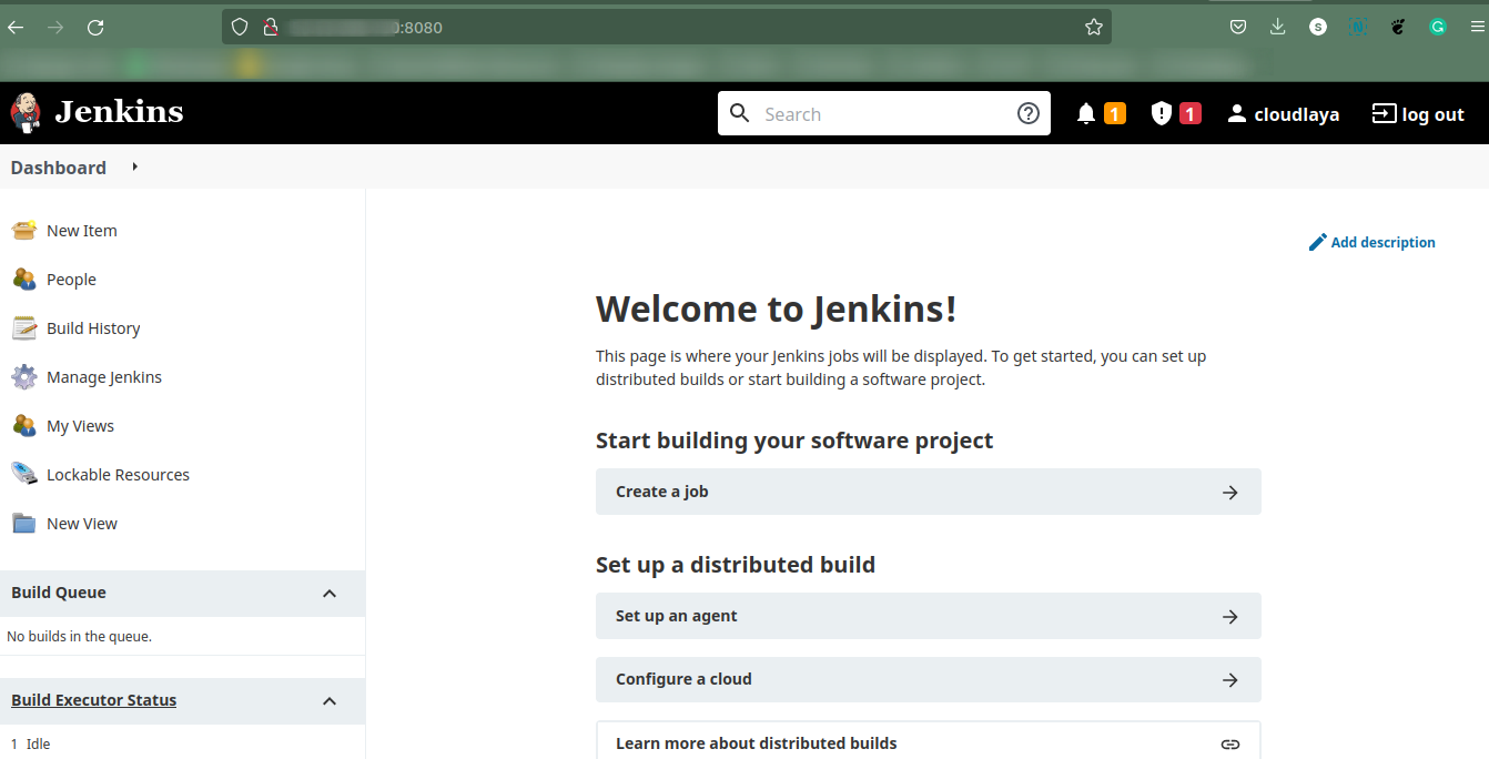 Jenkins Dashboard